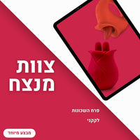 צוות מנצח | Winning Team